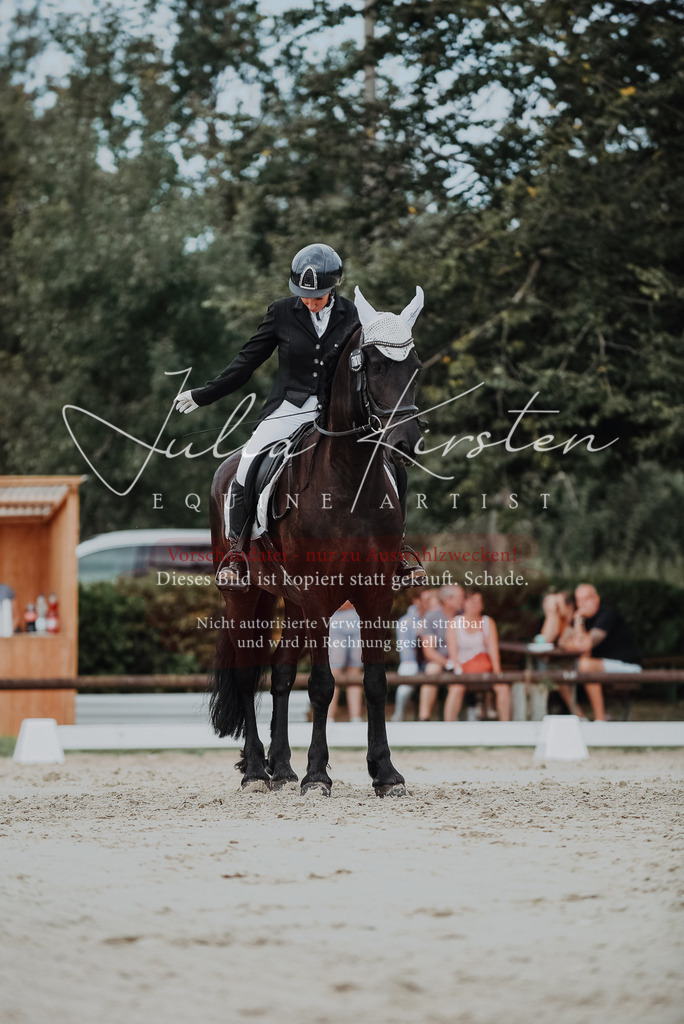 DSC_8619 | Pferde- und Turnierfotografie in Westsachsen. Pferdeportraits, Auftragszeichnungen und intuitive Kunst.