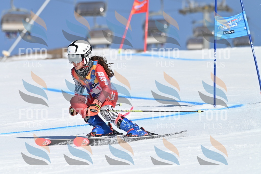 BGV_7877 | holidayphoto