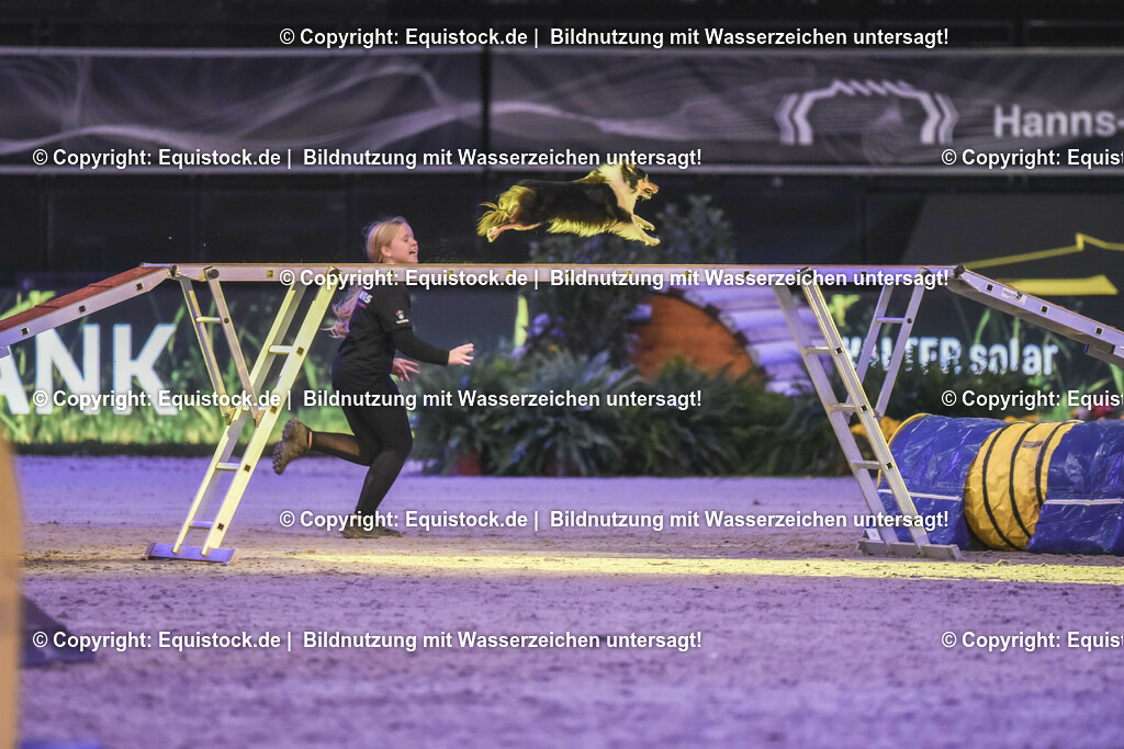 20231115_Dog-Agility_0194_TOMsPiC | Foto: Thomas Hartig