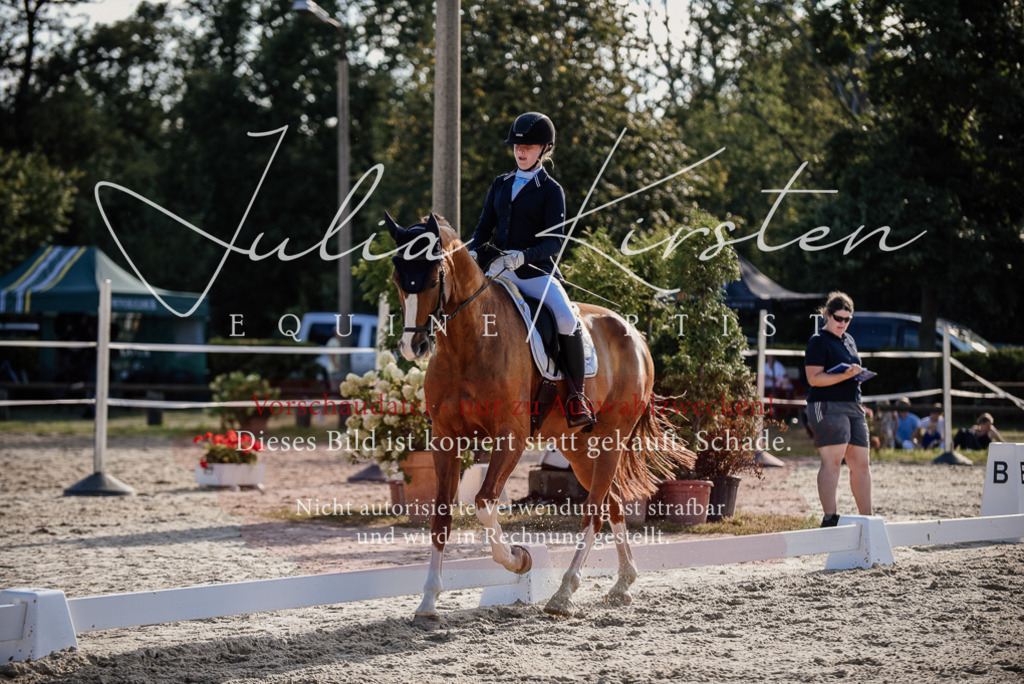 DSC_0530 | Pferde- und Turnierfotografie in Westsachsen. Pferdeportraits, Auftragszeichnungen und intuitive Kunst.