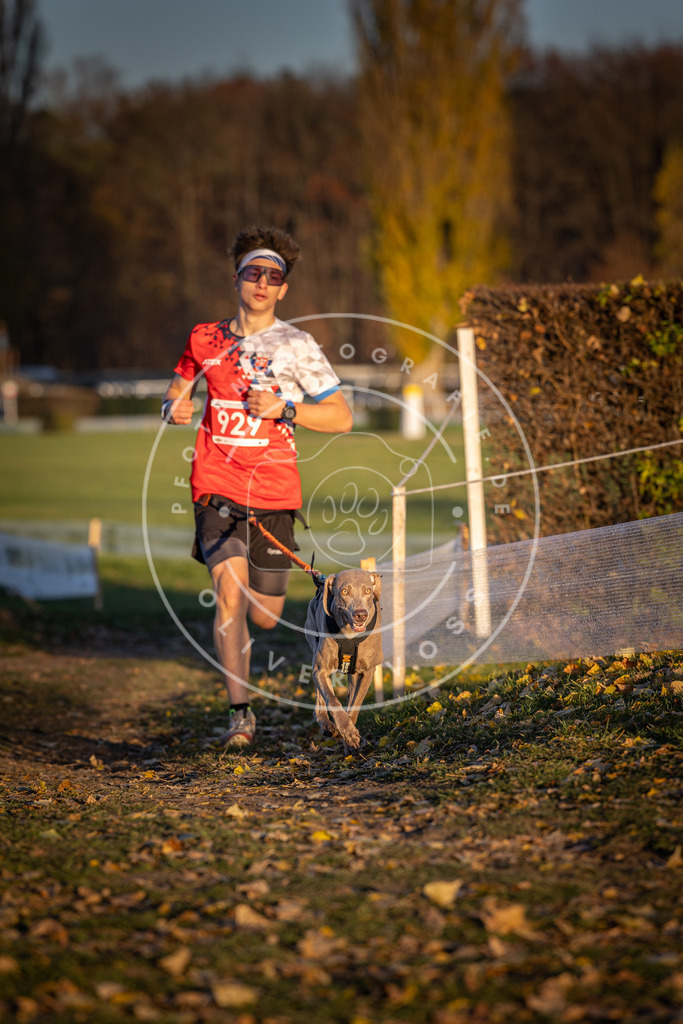 CaniXpix_DV3A5119 | Hundefotografie, Tierfotograf, Pfotenfotografie, Fotoshooting Hund, Hunde Portrait, Hundesport, Hundeportraits, Heideshooting, Hunde, Sportfotograf, Hundefotograf, Turnierhundsport, THS,  - Realisiert mit Pictrs.com