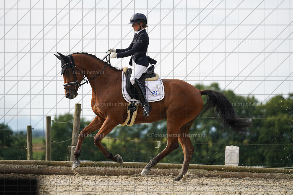 20230826-FAH04567 | Forstinning, 2023, Dressurturnier, Turniersportbilder, Turnierfotografen Bayern, Fotoagentur Herrmann, Reitsportfotografie, Turnierbilder
