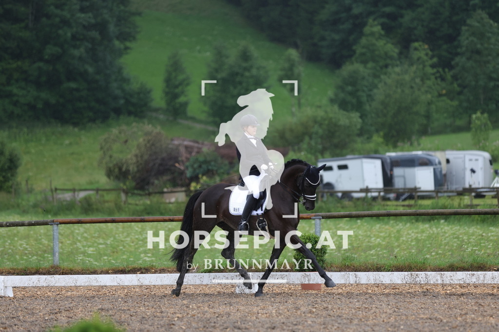 0P6A9706 | Willkommen bei Brunnmayr - Design & Fotografie – Ihrem Spezialisten für Reitturniere und Pferdeveranstaltungen in Oberösterreich, Salzburg und Bayern! Seit über 17 Jahren sind wir leidenschaftlich dabei.