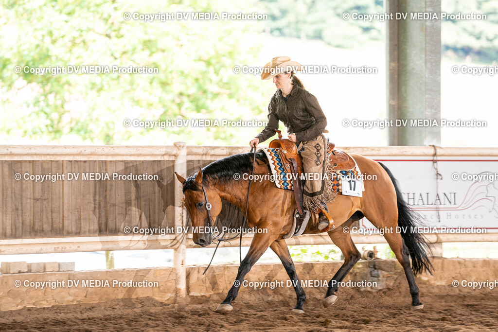 Erbach Tag 1-774 | dv-media-shop - Realisiert mit Pictrs.com