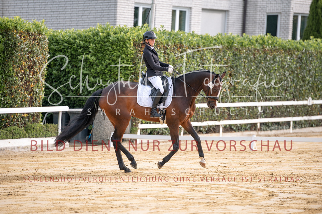 Schugtsche-Aluta25-40.DressurprfA_-59 | Schugtsche Fotografie - Realisiert mit Pictrs.com