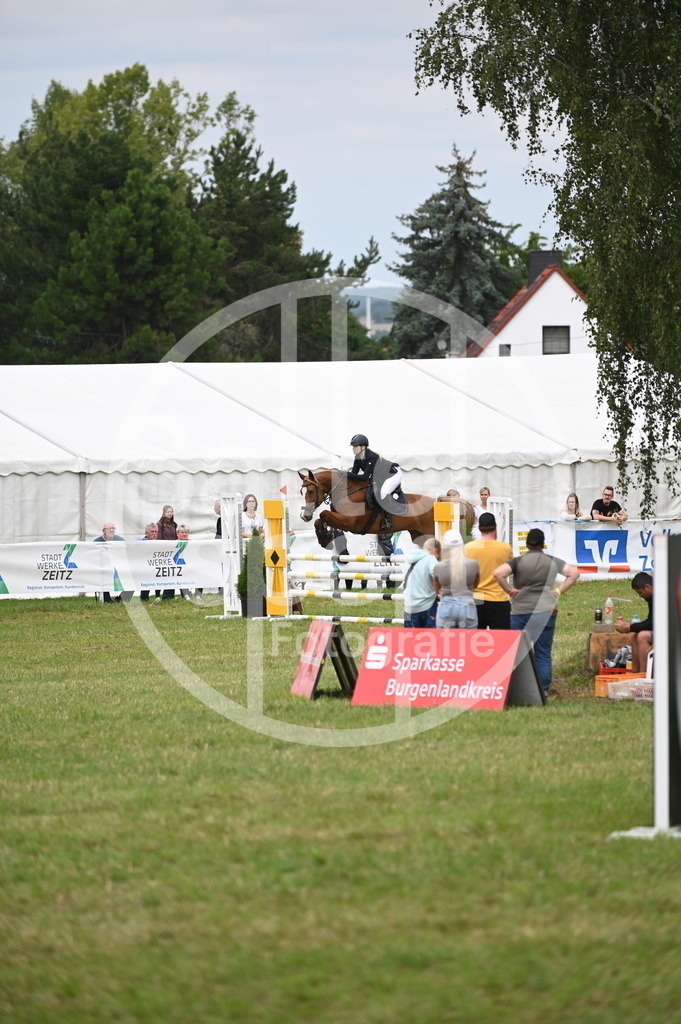 DSC_1908 | sattelsport - Realisiert mit Pictrs.com