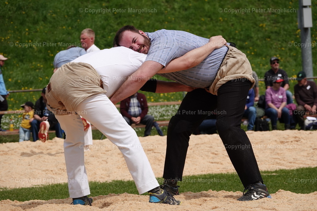 DSC03135 | Schwingen - Realisiert mit Pictrs.com