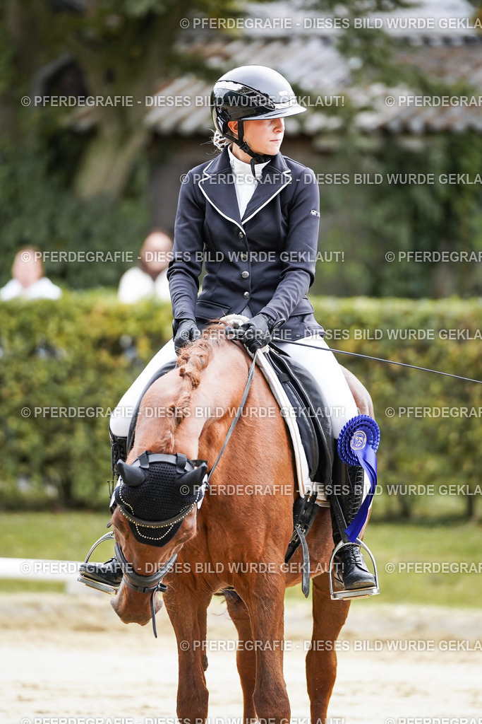 DSC05012 | Pferdegrafie