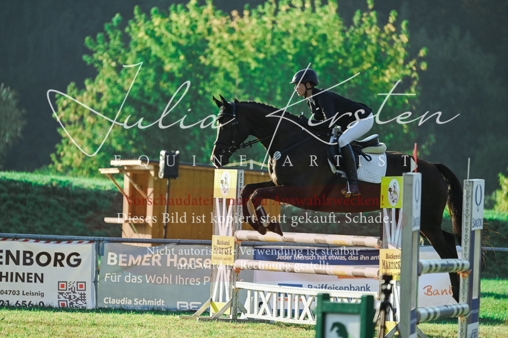 DSC_4177 | Pferde- und Turnierfotografie in Westsachsen. Pferdeportraits, Auftragszeichnungen und intuitive Kunst.