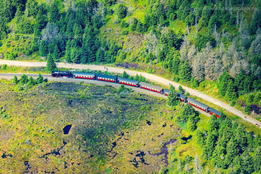 Brocken_Bahn_ELS_0652060824 | WERNIGERODE 06.08.2024 Zug der Brockenbahn - Harzquerbahn - Harzer Schmalspurbahn mit Mallet-Lokomotive- Dampflok und Triebwagen der Harzer Schmalspurbahn während der Fahrt am Brocken in Sachsen-Anhalt. Weiterführende Informationen bei: Harzer Schmalspurbahnen GmbH. // The railway "Brockenbahn" with a Mallet-Engine / steam locomotive / railcar, a narrow-gauge railway, during a trip at the "Brocken" mountain in Saxony-Anhalt. Further information at: Harzer Schmalspurbahnen GmbH. Foto: Martin Elsen