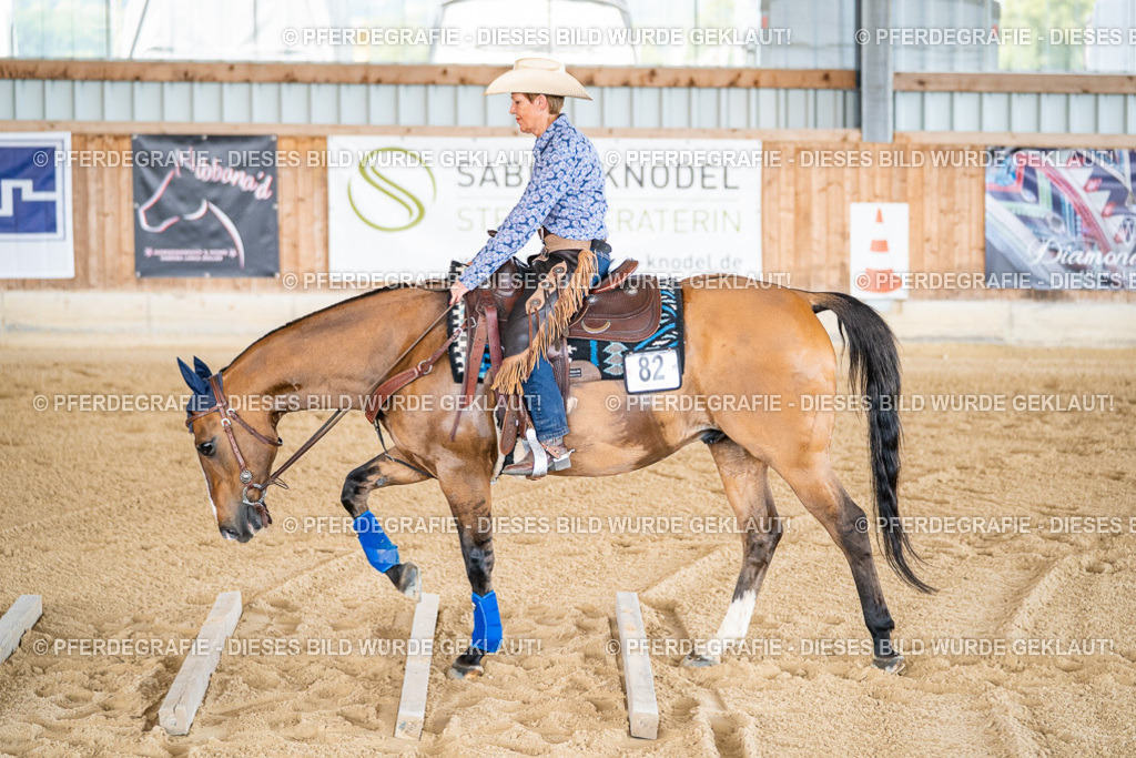 DSC02715 | Pferdegrafie