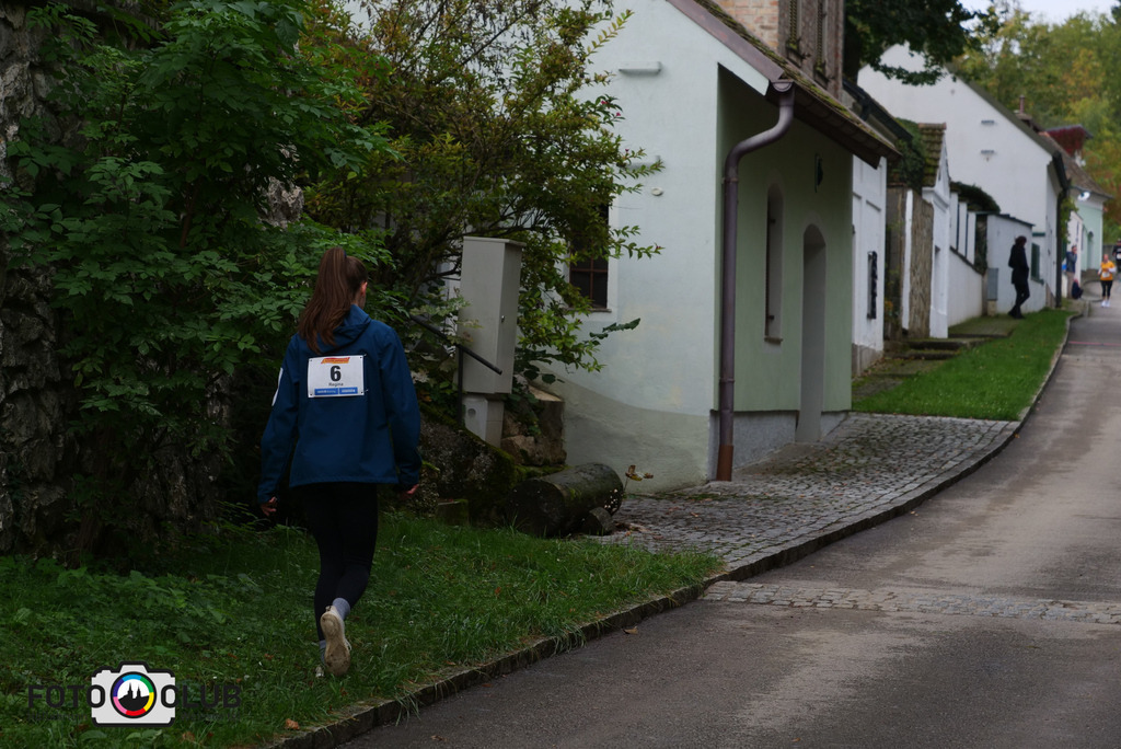 P1017258 | Foto Buchgraber