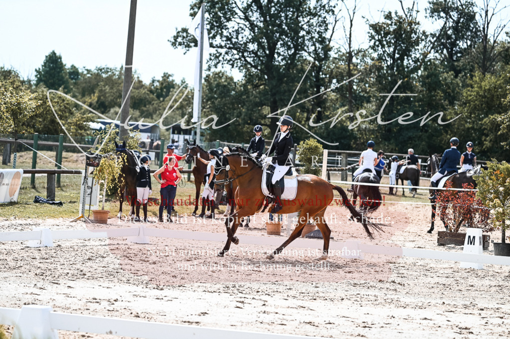 DSC_5156 | Pferde- und Turnierfotografie in Westsachsen. Pferdeportraits, Auftragszeichnungen und intuitive Kunst.