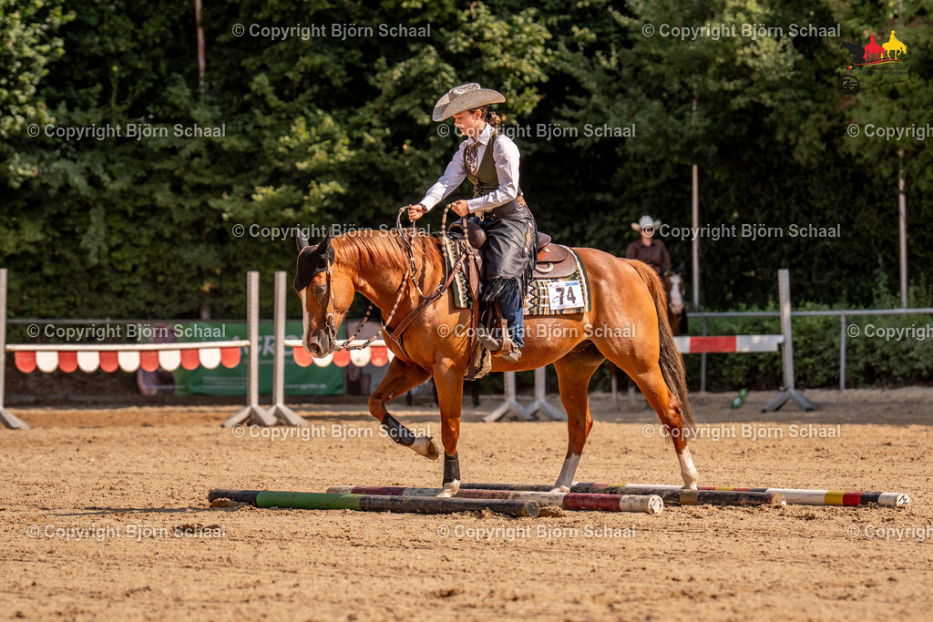 LMS05746 | BS-foto