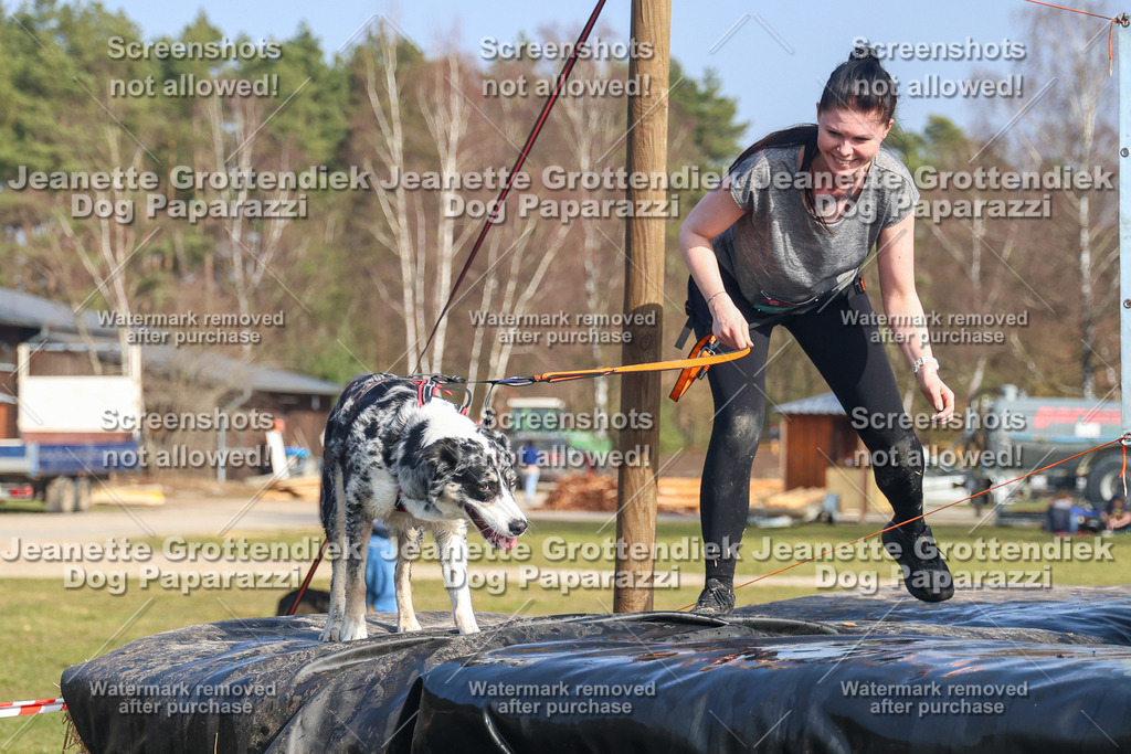 Dog Paparazzi - Strongdog North Mrz26-2922 | Dog Paparazzi Jeanette Grottendiek Fotografie & Videografie - Realisiert mit Pictrs.com