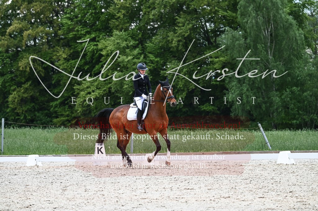 20230513_JK-Röhrsdorf-11-051 | Pferde- und Turnierfotografie in Westsachsen. Pferdeportraits, Auftragszeichnungen und intuitive Kunst.