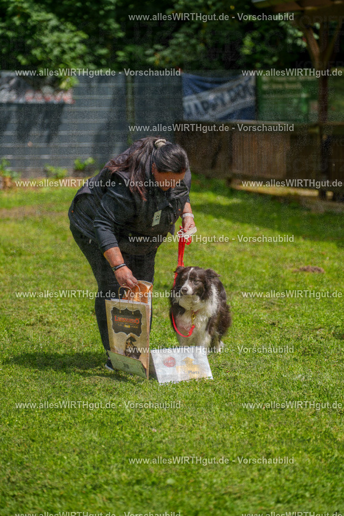 @allesWIRTHgut_Tierfotografie - www.allesWIRTHgut.de - 7R504046 | Professionelle Tierfotografie in Mönchengladbach von Daniel Wirth (allesWIRTHgut). Liebevolle & natürliche Bilder von Hunden & Katzen für unvergessliche Erinnerungen.