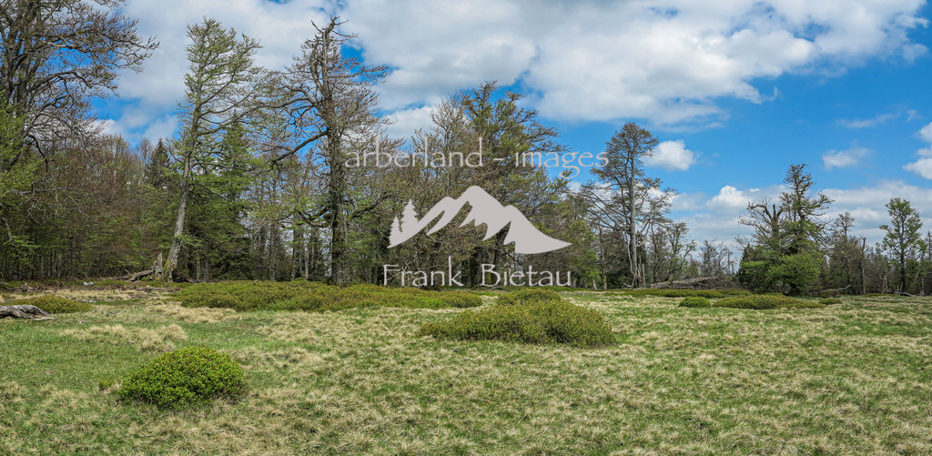 IMG_2081-Pano | Schachten, Panorama