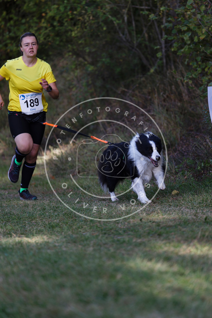 0L8A5703 | Hundefotografie, Tierfotograf, Pfotenfotografie, Fotoshooting Hund, Hunde Portrait, Hundesport, Hundeportraits, Heideshooting, Hunde, Sportfotograf, Hundefotograf, Turnierhundsport, THS,  - Realisiert mit Pictrs.com