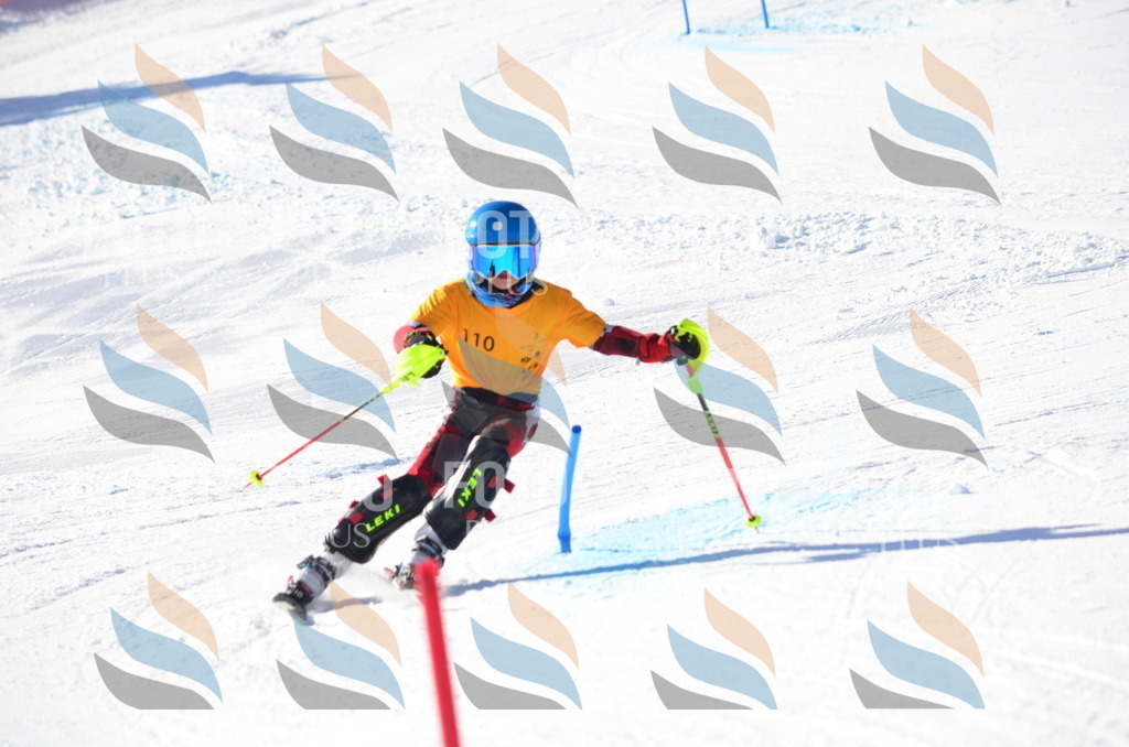 C6273 | holidayphoto