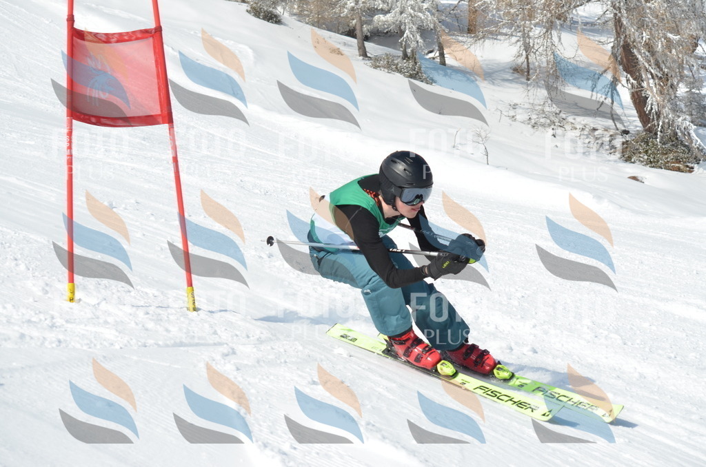 D9139 | holidayphoto