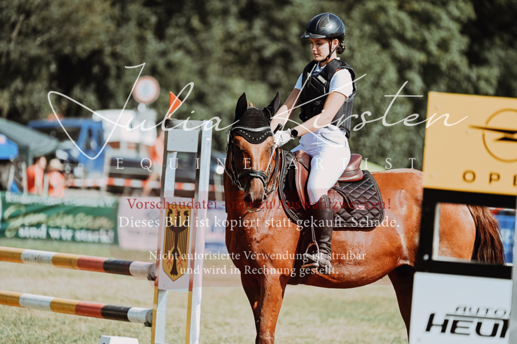 DSC_9426 | Pferde- und Turnierfotografie in Westsachsen. Pferdeportraits, Auftragszeichnungen und intuitive Kunst.