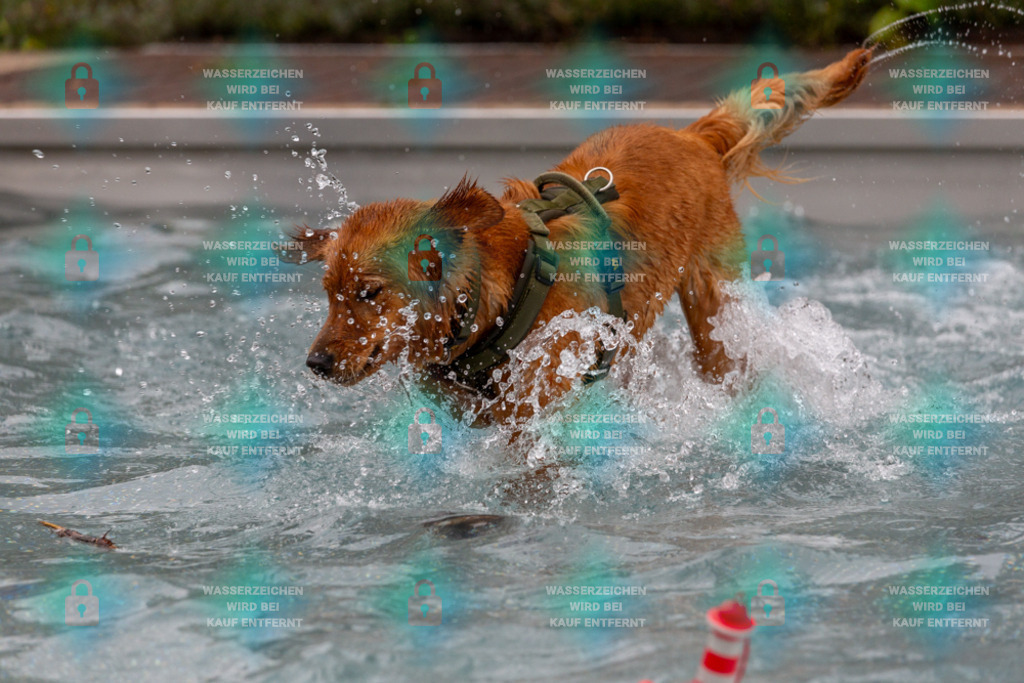 _HP_6217_1000o | HetPix, HetPix Fotodesign, Fotografie, Fotodesign, Webshop, Sportfotografie, Portraitfotografie, Onlineshop, Sportfotografie, Polch, Motorsportfotografie, Eventfotografie