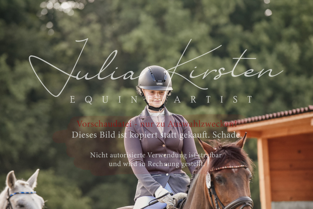 DSC_8367 | Pferde- und Turnierfotografie in Westsachsen. Pferdeportraits, Auftragszeichnungen und intuitive Kunst.