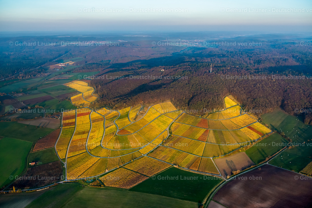 9102150 | Weinbergslandschaft zw.Abtswind und Greuth