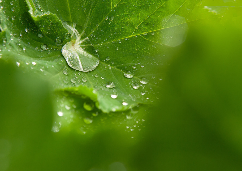 Frnmntl_2760 Kopie | Beegebilder online. 
BIldarchiv von Beege Fotodesign mit ausgewählten Werken, die sich besonders gut für die Dekoration Ihrer Räume oder Wände eignen. 