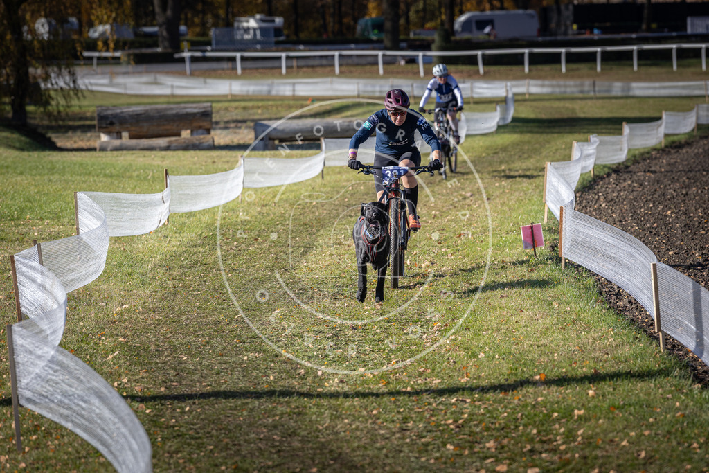 CaniXpix_DV3A6513 | Hundefotografie, Tierfotograf, Pfotenfotografie, Fotoshooting Hund, Hunde Portrait, Hundesport, Hundeportraits, Heideshooting, Hunde, Sportfotograf, Hundefotograf, Turnierhundsport, THS,  - Realisiert mit Pictrs.com