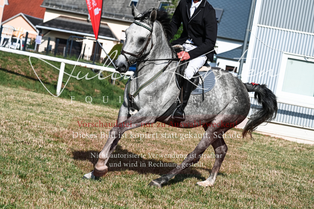 DSC_7504 | Pferde- und Turnierfotografie in Westsachsen. Pferdeportraits, Auftragszeichnungen und intuitive Kunst.
