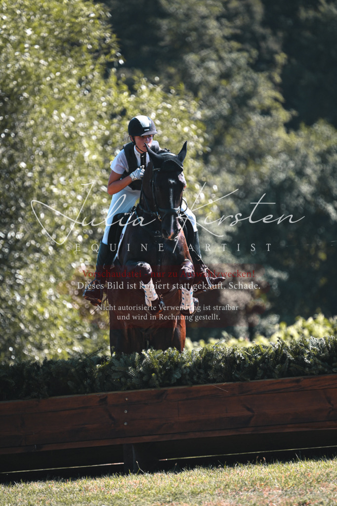 DSC_8361 | Pferde- und Turnierfotografie in Westsachsen. Pferdeportraits, Auftragszeichnungen und intuitive Kunst.