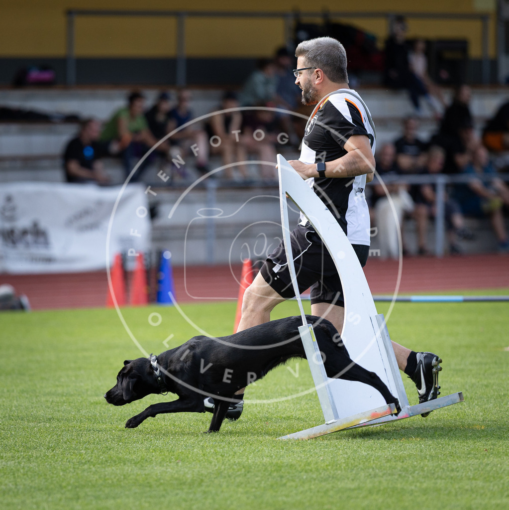 Pfotenfotografie_DV3A2947 | Hundefotografie, Tierfotograf, Pfotenfotografie, Fotoshooting Hund, Hunde Portrait, Hundesport, Hundeportraits, Heideshooting, Hunde, Sportfotograf, Hundefotograf, Turnierhundsport, THS,  - Realisiert mit Pictrs.com