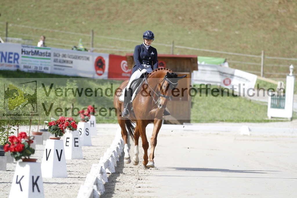 _MG_2799 | equestrian-live-com