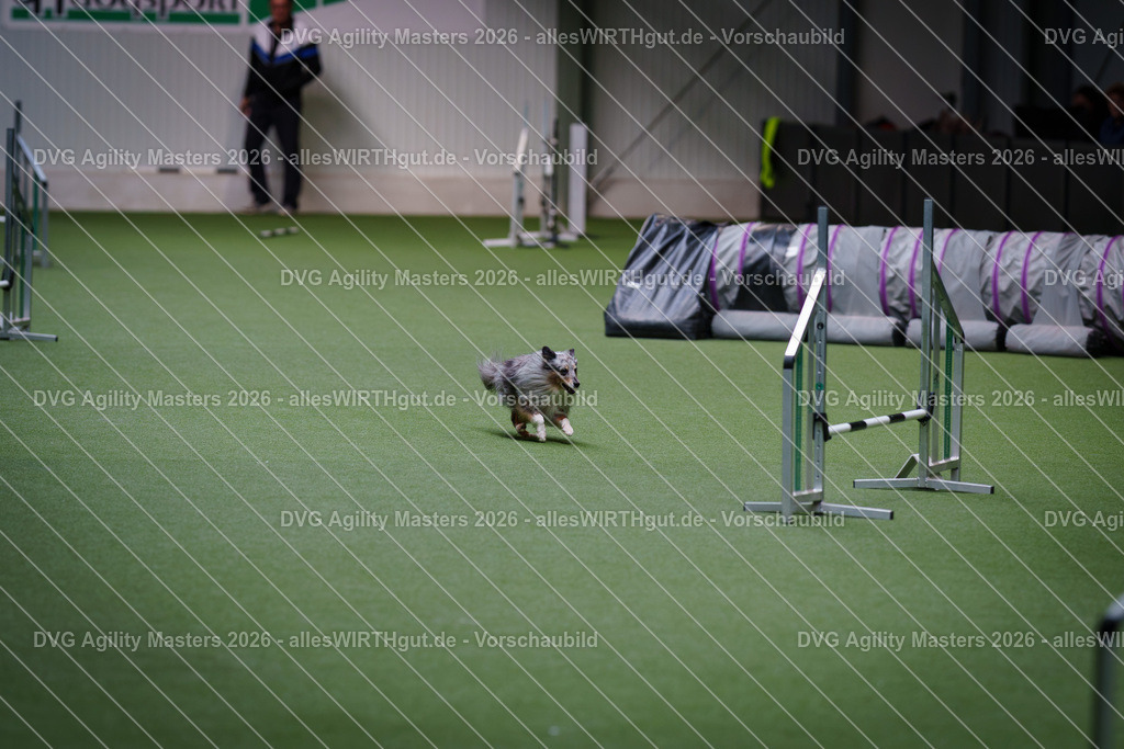 allesWIRTHgut_Tierfotografie-DVG_Agility_Masters_2026-12_09-7R507426 | Professionelle Tierfotografie in Mönchengladbach von Daniel Wirth (allesWIRTHgut). Liebevolle & natürliche Bilder von Hunden & Katzen für unvergessliche Erinnerungen.