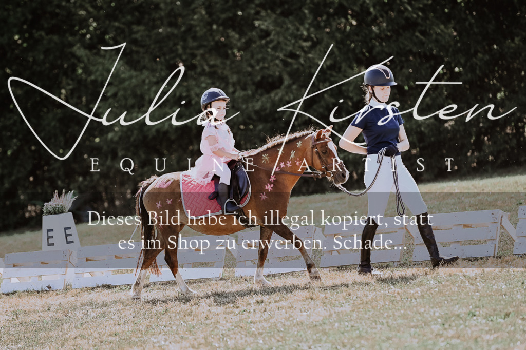 DSC_9036 | Pferde- und Turnierfotografie in Westsachsen. Pferdeportraits, Auftragszeichnungen und intuitive Kunst.