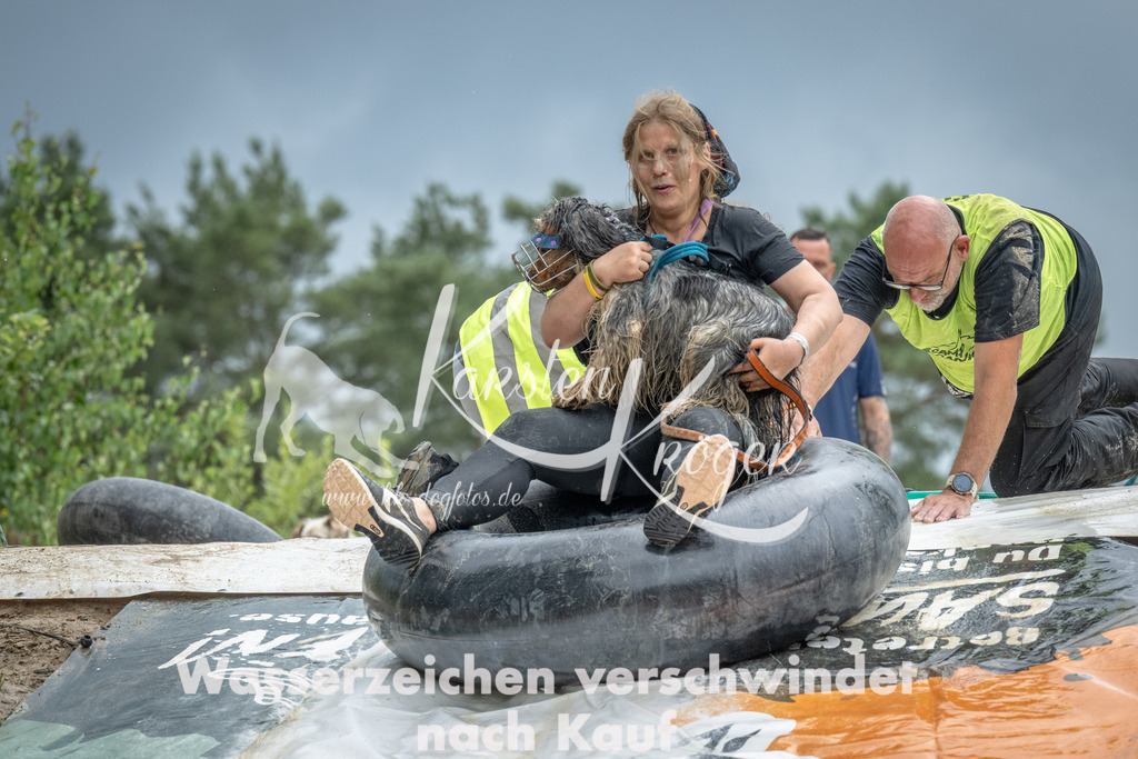 1558_ZZ99550 | kk-dogfotos