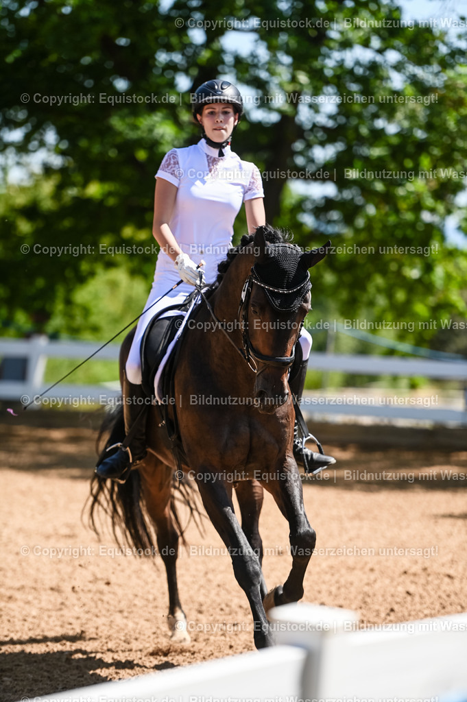20230715_02_Dressurreiterprüfung Kl.L_0066 | equistock