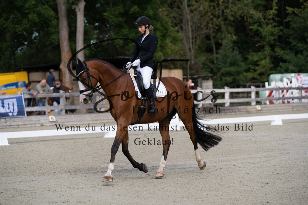 A7V06806 | Turnier/Reitfotograf