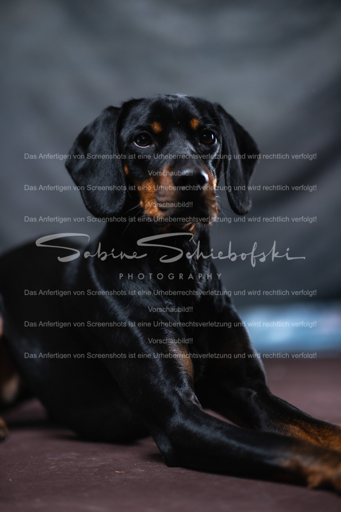 DSCF4437 | People- und Tierfotografie, Imageaufnahmen, Veranstaltungsfotografie und Wandbilder aus der Natur ★ Made in Germany ✔️ Druck + Downloads ✔️ Naturfotografie in Top Qualität ★ schneller Versand, weltweite Lieferung! - Realisiert mit Pictrs.com