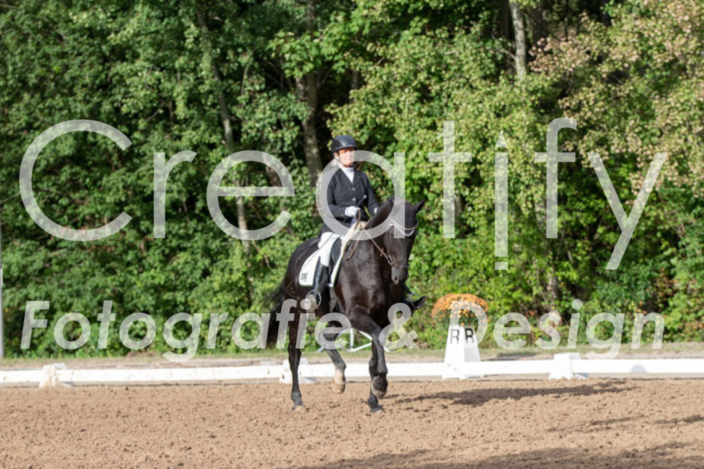 IMG_4794 | Creatify Fotografie