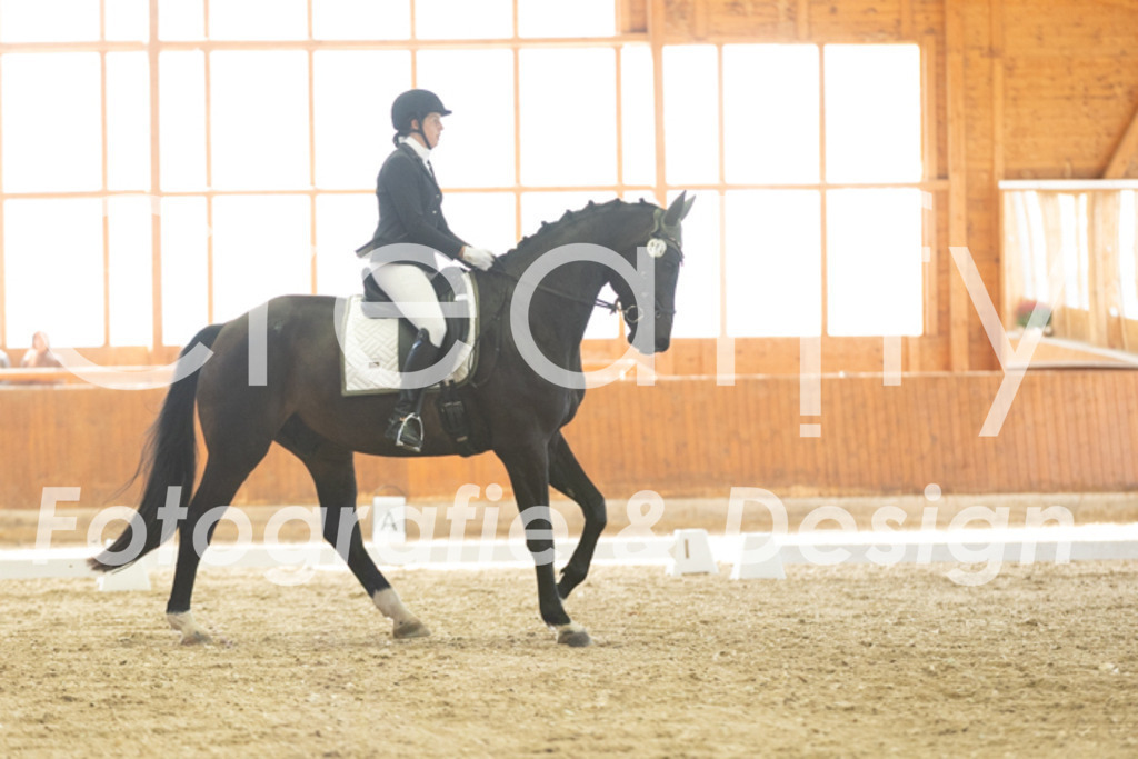 IMG_3265 | Creatify Fotografie