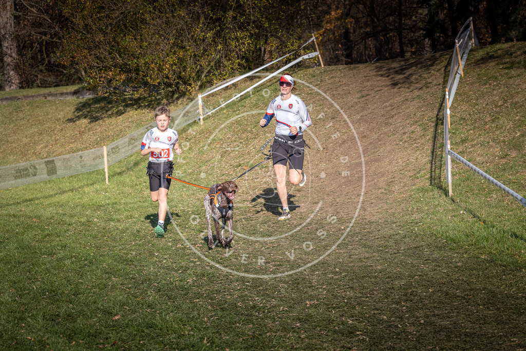 CaniXpix_0L8A8369 | Hundefotografie, Tierfotograf, Pfotenfotografie, Fotoshooting Hund, Hunde Portrait, Hundesport, Hundeportraits, Heideshooting, Hunde, Sportfotograf, Hundefotograf, Turnierhundsport, THS,  - Realisiert mit Pictrs.com