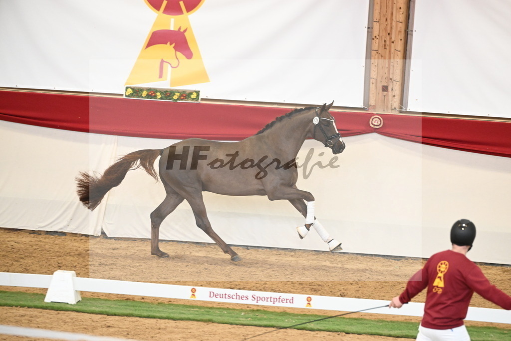 Kat.-Nr. 58 v. Floricello_Heilemann_2250343 | hf-fotografie - Realisiert mit Pictrs.com
