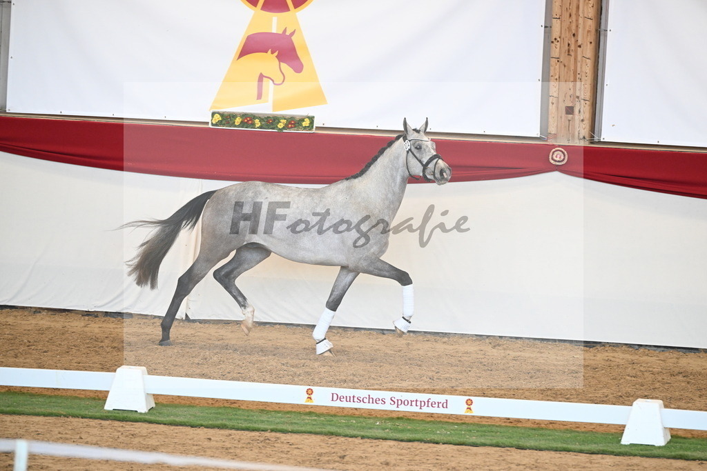 Kat.-Nr. 72 v. Johnson_Lehner_2250621 | hf-fotografie - Realisiert mit Pictrs.com