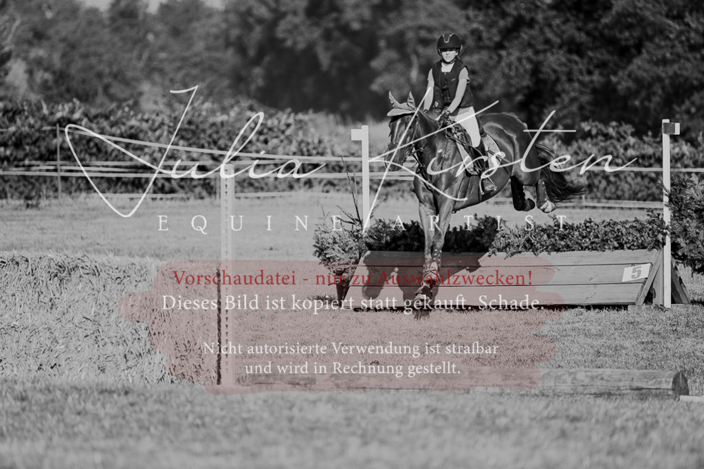 DSC_8931 | Pferde- und Turnierfotografie in Westsachsen. Pferdeportraits, Auftragszeichnungen und intuitive Kunst.