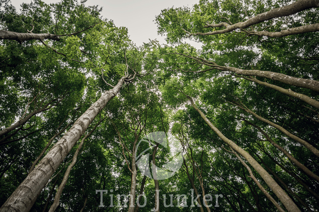 Shop_Landscapes--18 | junker-foto - Realisiert mit Pictrs.com