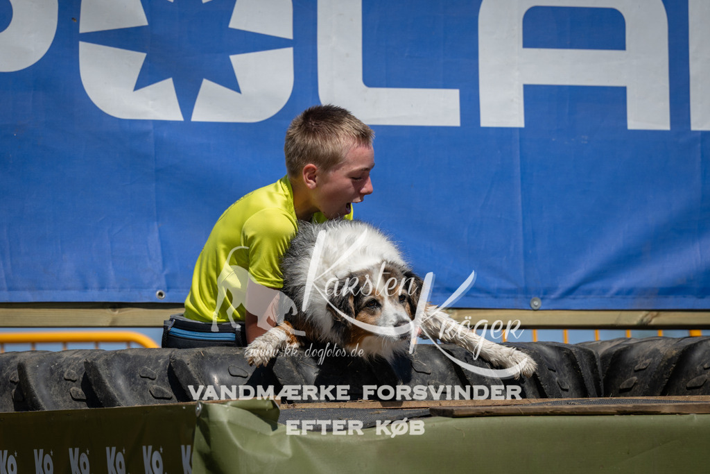 1349_ZZ99383 | kk-dogfotos