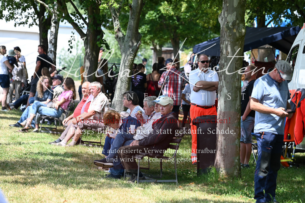 DSC_9493 | Pferde- und Turnierfotografie in Westsachsen. Pferdeportraits, Auftragszeichnungen und intuitive Kunst.
